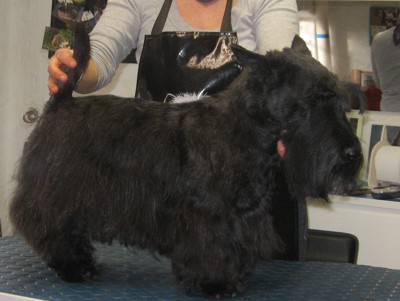 amber hinterher klein1