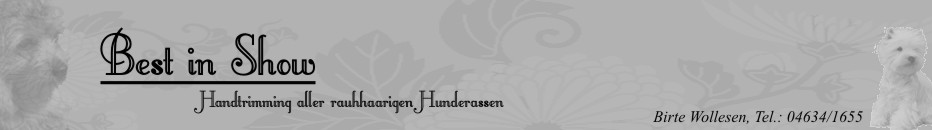 best in show banner5