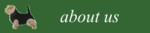 button about us