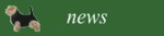 button news