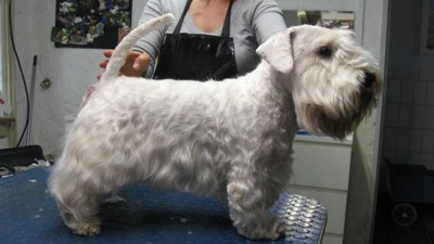 caspar klein hinterher