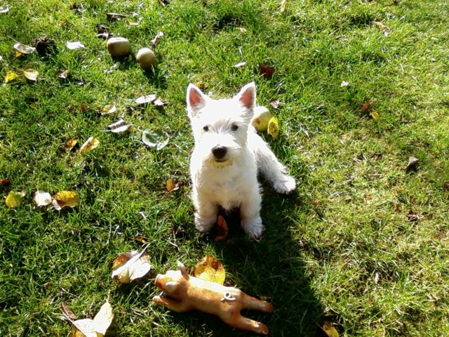 murphy kundengalerie